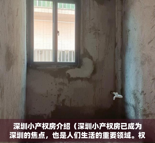 深圳小产权房介绍（深圳小产权房已成为深圳的焦点，也是人们生活的重要领域。权利和利益问题一直受到特别关注。）