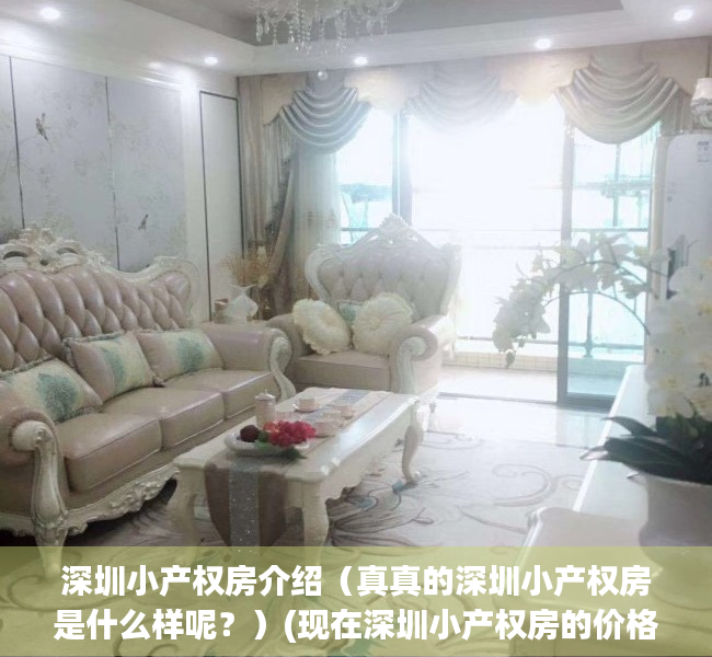 深圳小产权房介绍（真真的深圳小产权房是什么样呢？）(现在深圳小产权房的价格是多少)