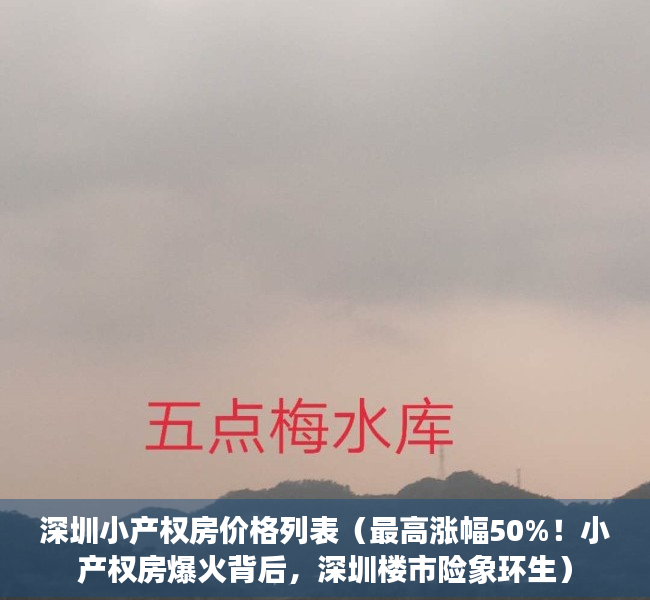 深圳小产权房价格列表（最高涨幅50%！小产权房爆火背后，深圳楼市险象环生）