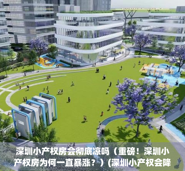 深圳小产权房会彻底凉吗（重磅！深圳小产权房为何一直暴涨？）(深圳小产权会降价吗)