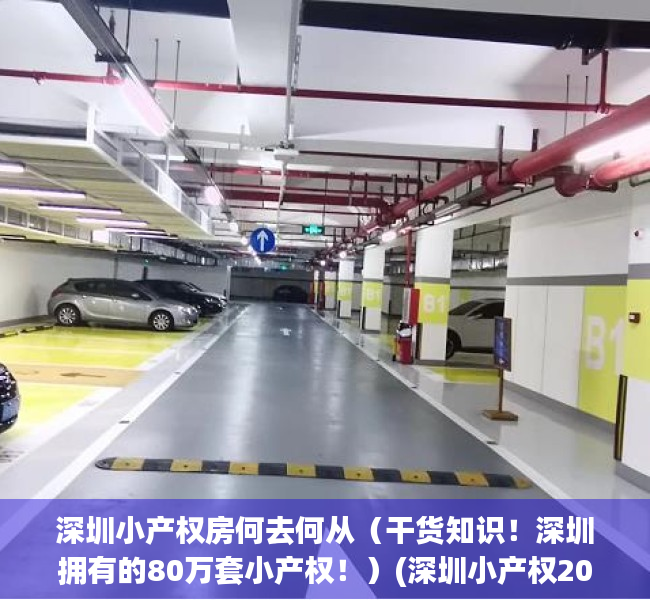 深圳小产权房何去何从（干货知识！深圳拥有的80万套小产权！）(深圳小产权2021年火了)
