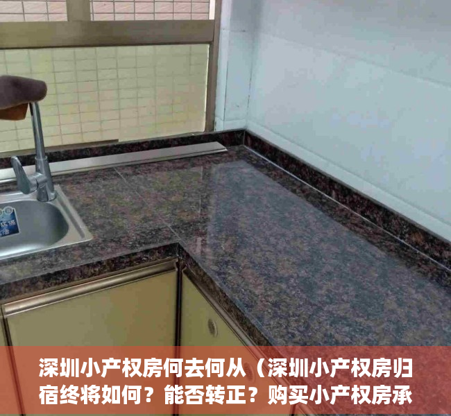 深圳小产权房何去何从（深圳小产权房归宿终将如何？能否转正？购买小产权房承担什么险？）