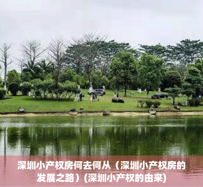 深圳小产权房何去何从（深圳小产权房的发展之路）(深圳小产权的由来)