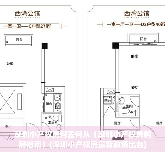 深圳小产权房何去何从（深圳小产权房购房指南）(深圳小产权房最新政策出台)
