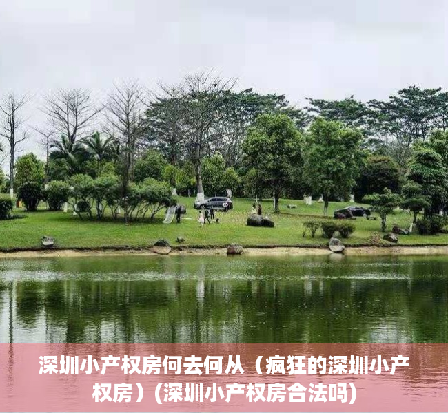 深圳小产权房何去何从（疯狂的深圳小产权房）(深圳小产权房合法吗)