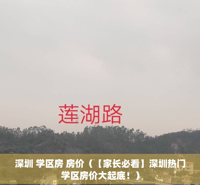 深圳 学区房 房价（【家长必看】深圳热门学区房价大起底！）