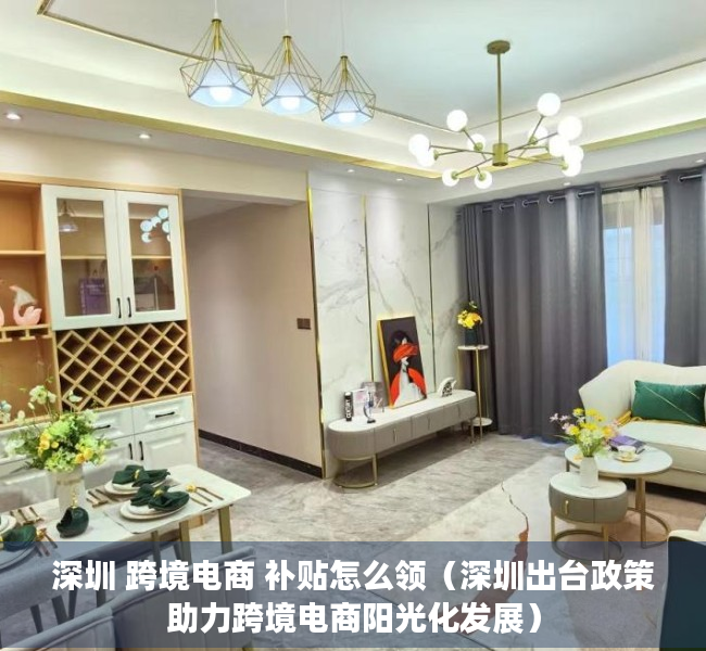 深圳 跨境电商 补贴怎么领（深圳出台政策助力跨境电商阳光化发展）