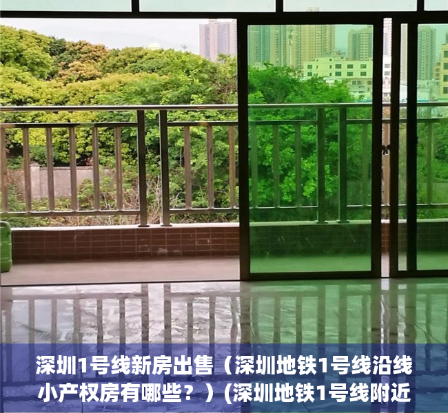 深圳1号线新房出售（深圳地铁1号线沿线小产权房有哪些？）(深圳地铁1号线附近租房信息)