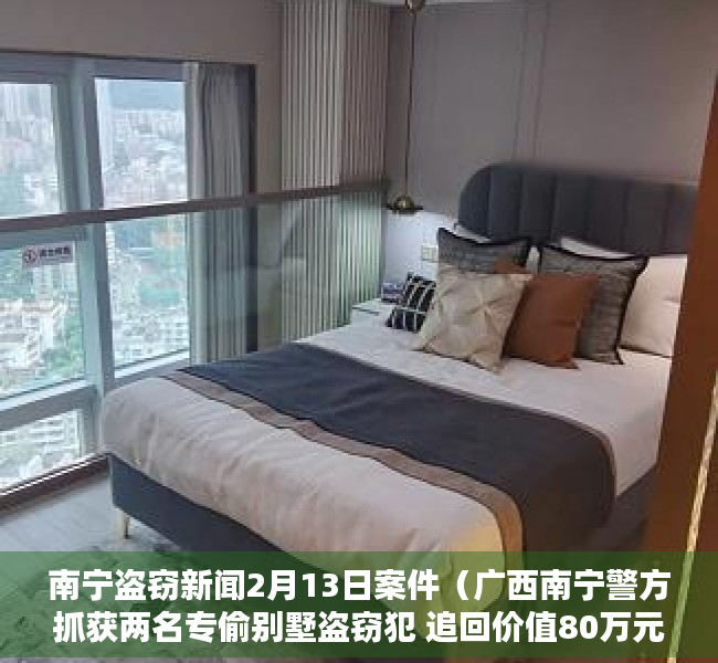 南宁盗窃新闻2月13日案件（广西南宁警方抓获两名专偷别墅盗窃犯 追回价值80万元名画、名酒）