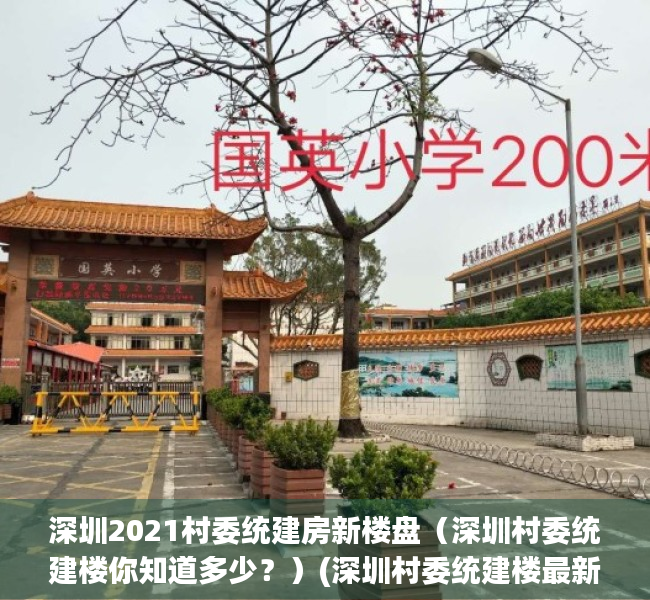 深圳2021村委统建房新楼盘（深圳村委统建楼你知道多少？）(深圳村委统建楼最新房源)