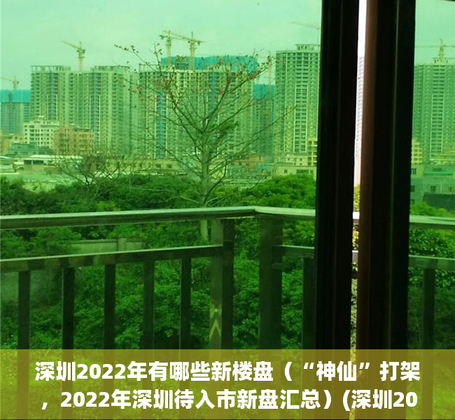 深圳2022年有哪些新楼盘（“神仙”打架，2022年深圳待入市新盘汇总）(深圳2021新开楼盘)