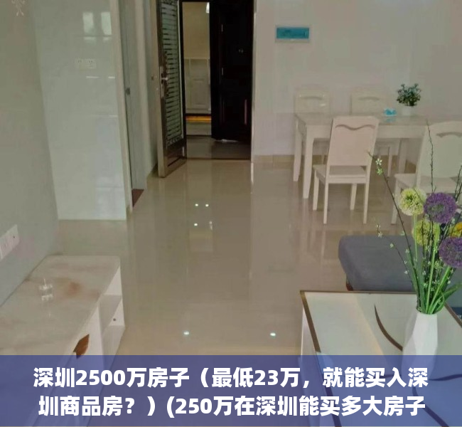 深圳2500万房子（最低23万，就能买入深圳商品房？）(250万在深圳能买多大房子)