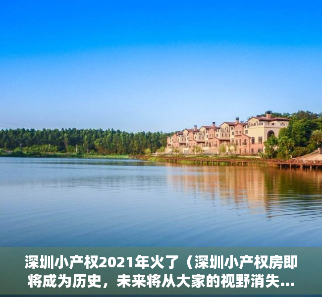深圳小产权2021年火了（深圳小产权房即将成为历史，未来将从大家的视野消失……）