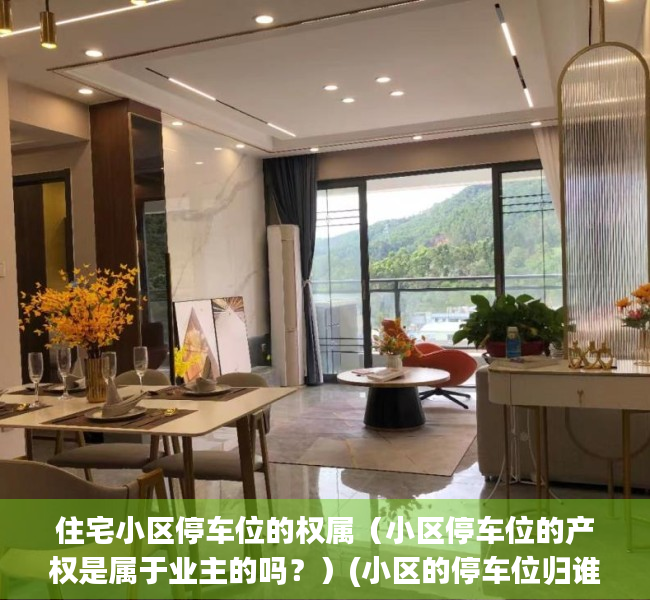 住宅小区停车位的权属（小区停车位的产权是属于业主的吗？）(小区的停车位归谁所有国家有文件)