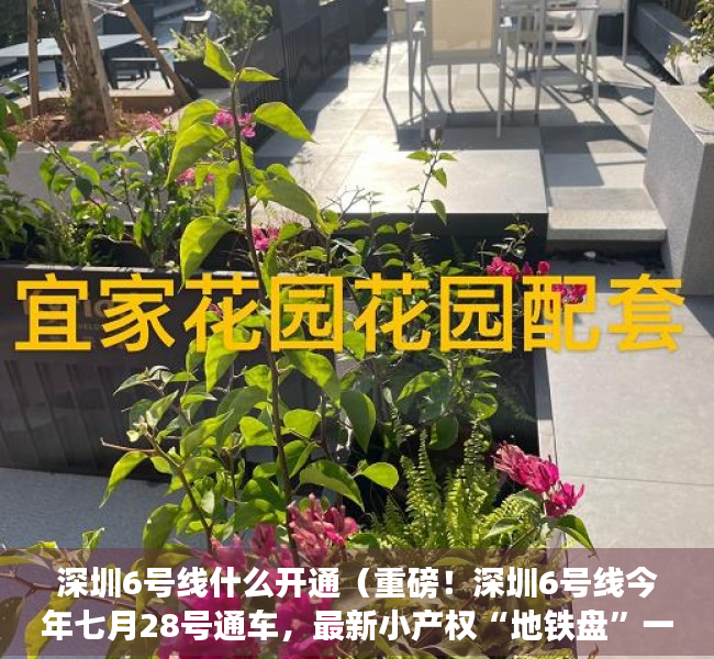 深圳6号线什么开通（重磅！深圳6号线今年七月28号通车，最新小产权“地铁盘”一览）