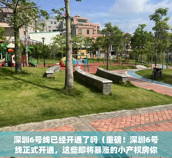 深圳6号线已经开通了吗（重磅！深圳6号线正式开通，这些即将暴涨的小产权房你知道那些呢？）