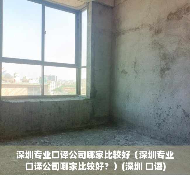 深圳专业口译公司哪家比较好（深圳专业口译公司哪家比较好？）(深圳 口语)