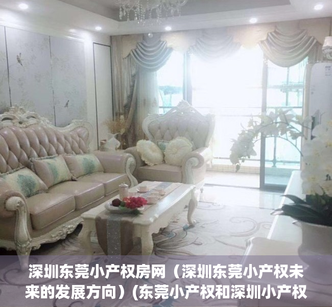 深圳东莞小产权房网（深圳东莞小产权未来的发展方向）(东莞小产权和深圳小产权)