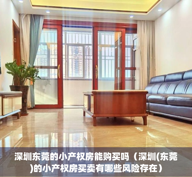 深圳东莞的小产权房能购买吗（深圳(东莞)的小产权房买卖有哪些风险存在）