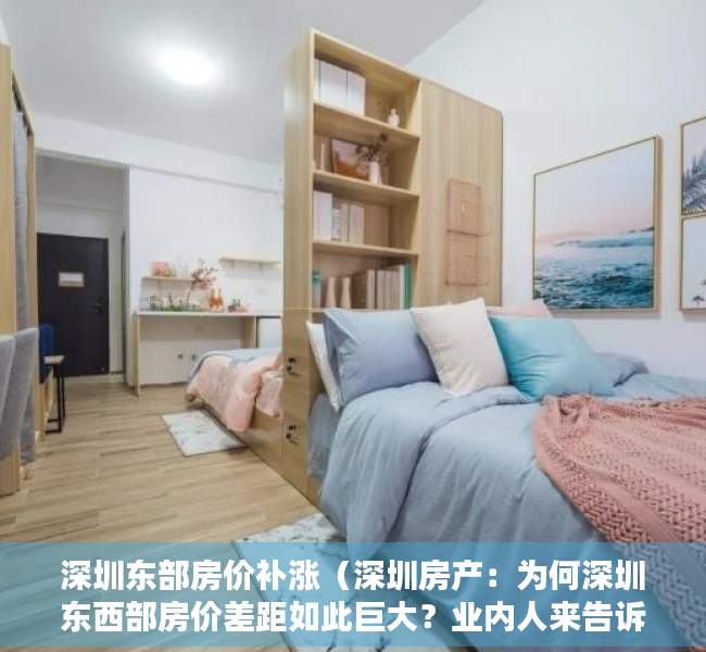 深圳东部房价补涨（深圳房产：为何深圳东西部房价差距如此巨大？业内人来告诉你）