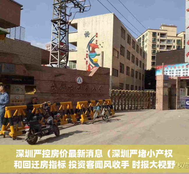 深圳严控房价最新消息（深圳严堵小产权和回迁房指标 投资客闻风收手 时报大视野）