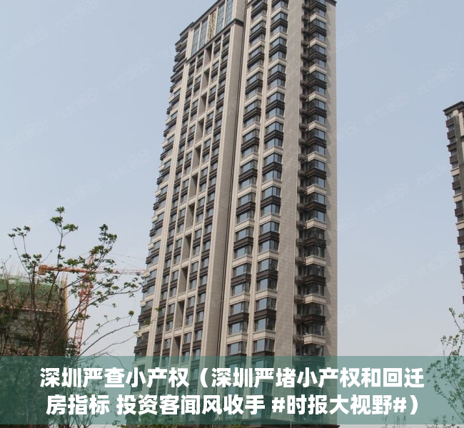 深圳严查小产权（深圳严堵小产权和回迁房指标 投资客闻风收手 #时报大视野#）