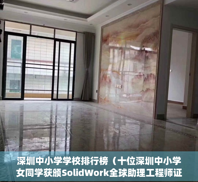 深圳中小学学校排行榜（十位深圳中小学女同学获颁SolidWork全球助理工程师证书）