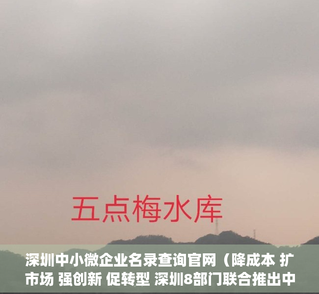 深圳中小微企业名录查询官网（降成本 扩市场 强创新 促转型 深圳8部门联合推出中小微企业纾困政策）
