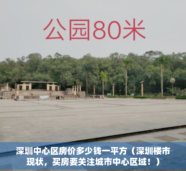 深圳中心区房价多少钱一平方（深圳楼市现状，买房要关注城市中心区域！）