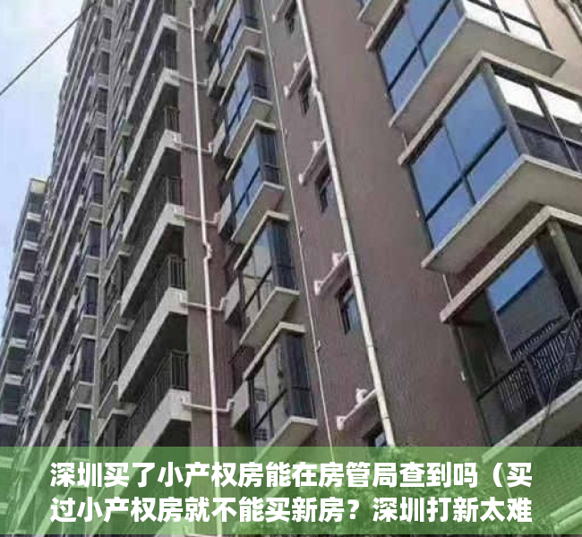 深圳买了小产权房能在房管局查到吗（买过小产权房就不能买新房？深圳打新太难了！）