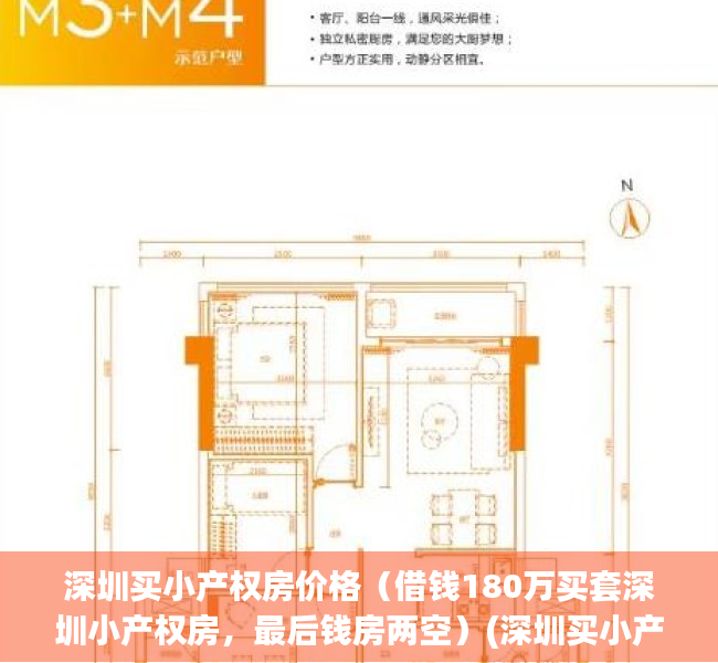 深圳买小产权房价格（借钱180万买套深圳小产权房，最后钱房两空）(深圳买小产权房出售2021)