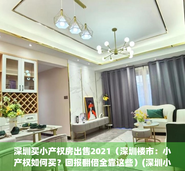 深圳买小产权房出售2021（深圳楼市：小产权如何买？回报翻倍全靠这些）(深圳小产权房买房条件)