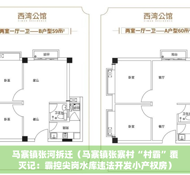 马寨镇张河拆迁（马寨镇张寨村“村霸”覆灭记：霸控尖岗水库违法开发小产权房）