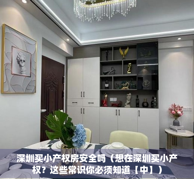 深圳买小产权房安全吗（想在深圳买小产权？这些常识你必须知道【中】）