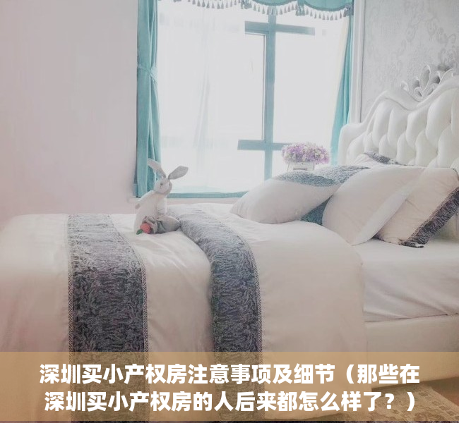 深圳买小产权房注意事项及细节（那些在深圳买小产权房的人后来都怎么样了？）