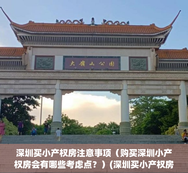 深圳买小产权房注意事项（购买深圳小产权房会有哪些考虑点？）(深圳买小产权房后悔了吗)