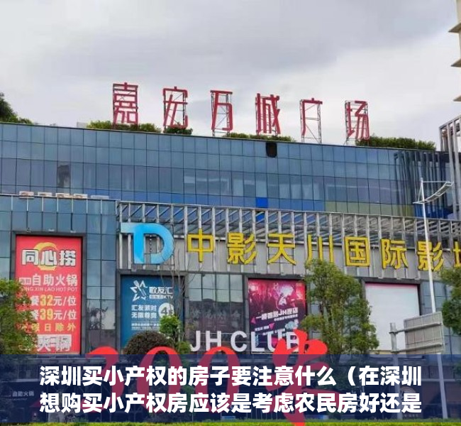 深圳买小产权的房子要注意什么（在深圳想购买小产权房应该是考虑农民房好还是统建楼好？有何区别？）