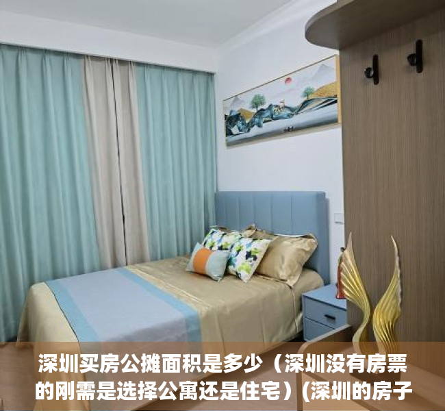 深圳买房公摊面积是多少（深圳没有房票的刚需是选择公寓还是住宅）(深圳的房子没有公摊吗)