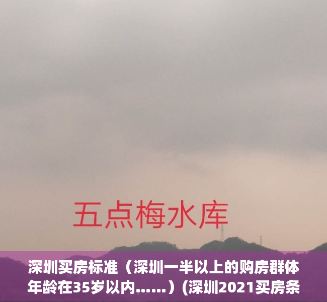 深圳买房标准（深圳一半以上的购房群体年龄在35岁以内……）(深圳2021买房条件)