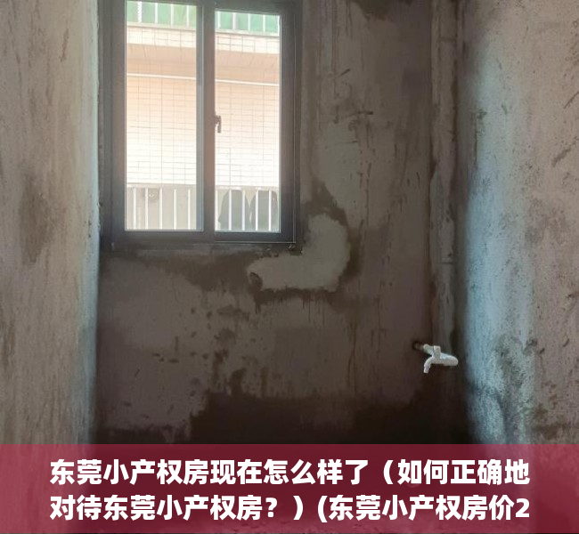 东莞小产权房现在怎么样了（如何正确地对待东莞小产权房？）(东莞小产权房价2020最新价格)