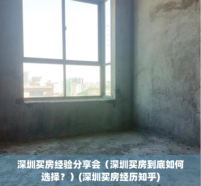 深圳买房经验分享会（深圳买房到底如何选择？）(深圳买房经历知乎)
