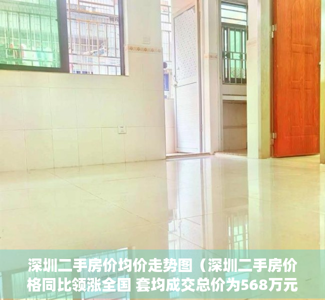 深圳二手房价均价走势图（深圳二手房价格同比领涨全国 套均成交总价为568万元）