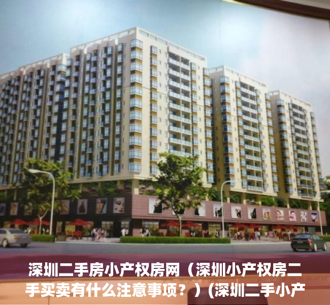 深圳二手房小产权房网（深圳小产权房二手买卖有什么注意事项？）(深圳二手小产权房交易流程)