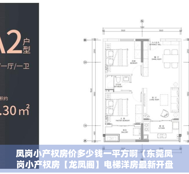 凤岗小产权房价多少钱一平方啊（东莞凤岗小产权房【龙凤阁】电梯洋房最新开盘 沃尔玛1公里）