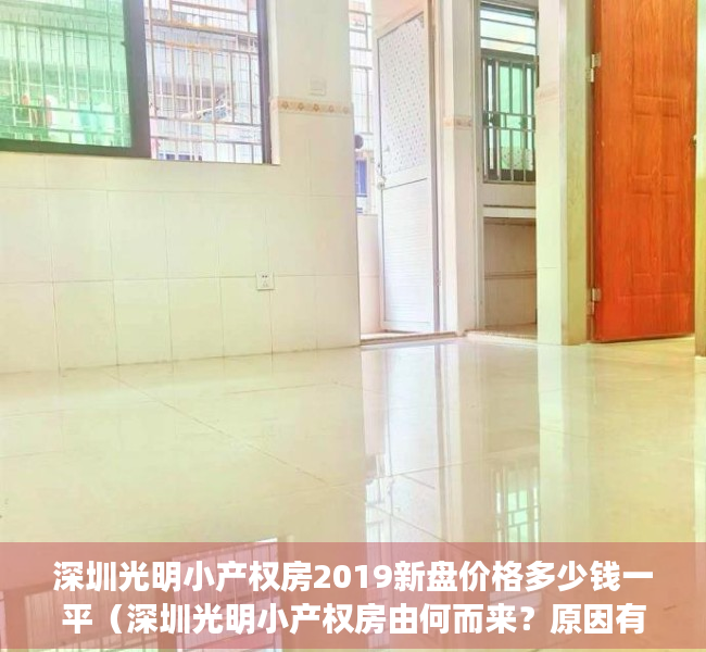 深圳光明小产权房2019新盘价格多少钱一平（深圳光明小产权房由何而来？原因有几个方面？）