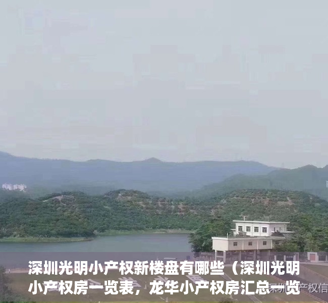 深圳光明小产权新楼盘有哪些（深圳光明小产权房一览表，龙华小产权房汇总一览表）