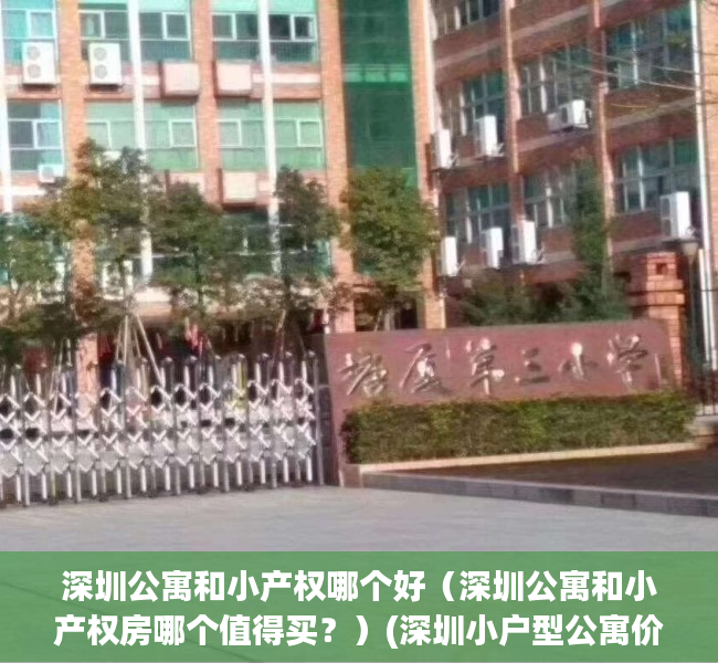 深圳公寓和小产权哪个好（深圳公寓和小产权房哪个值得买？）(深圳小户型公寓价格)
