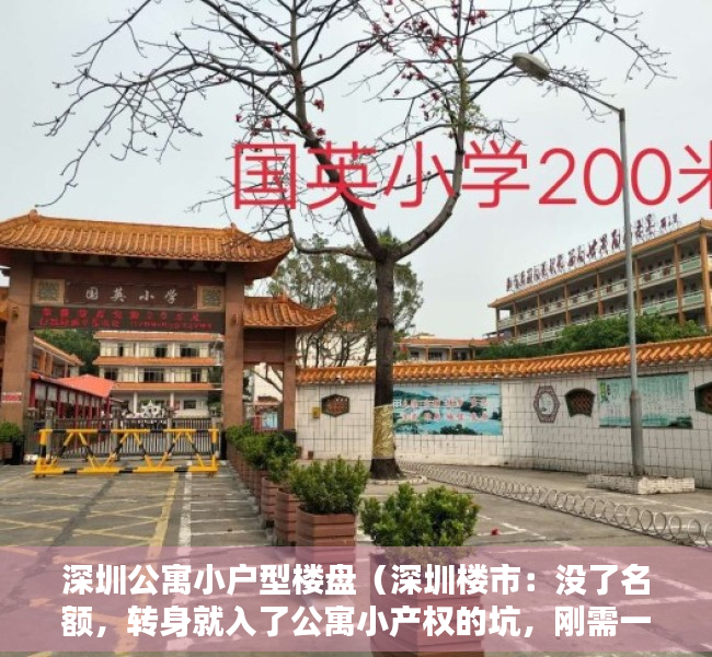 深圳公寓小户型楼盘（深圳楼市：没了名额，转身就入了公寓小产权的坑，刚需一定要注意）