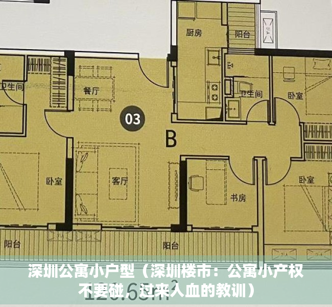 深圳公寓小户型（深圳楼市：公寓小产权不要碰，过来人血的教训）
