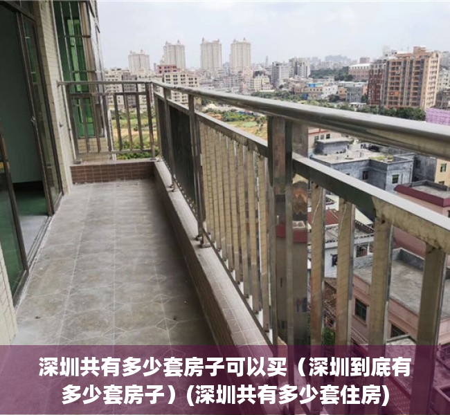 深圳共有多少套房子可以买（深圳到底有多少套房子）(深圳共有多少套住房)